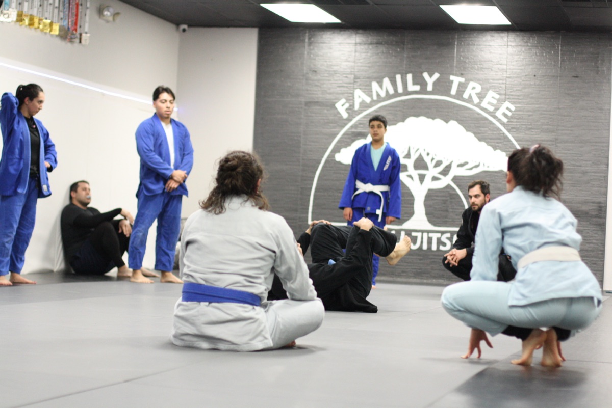 Adults training Jiu Jitsu in front of the Family Tree mural